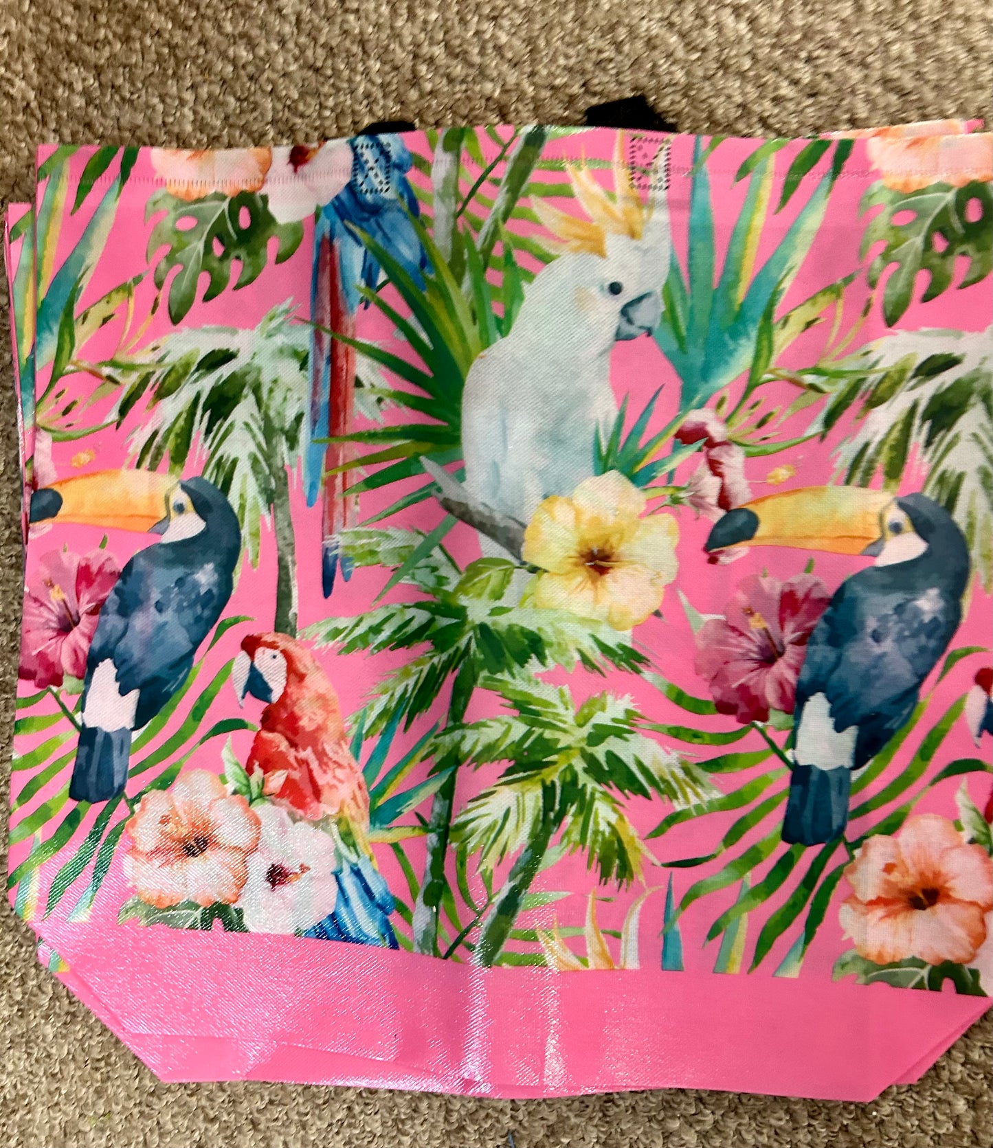 Large Reusable Bags