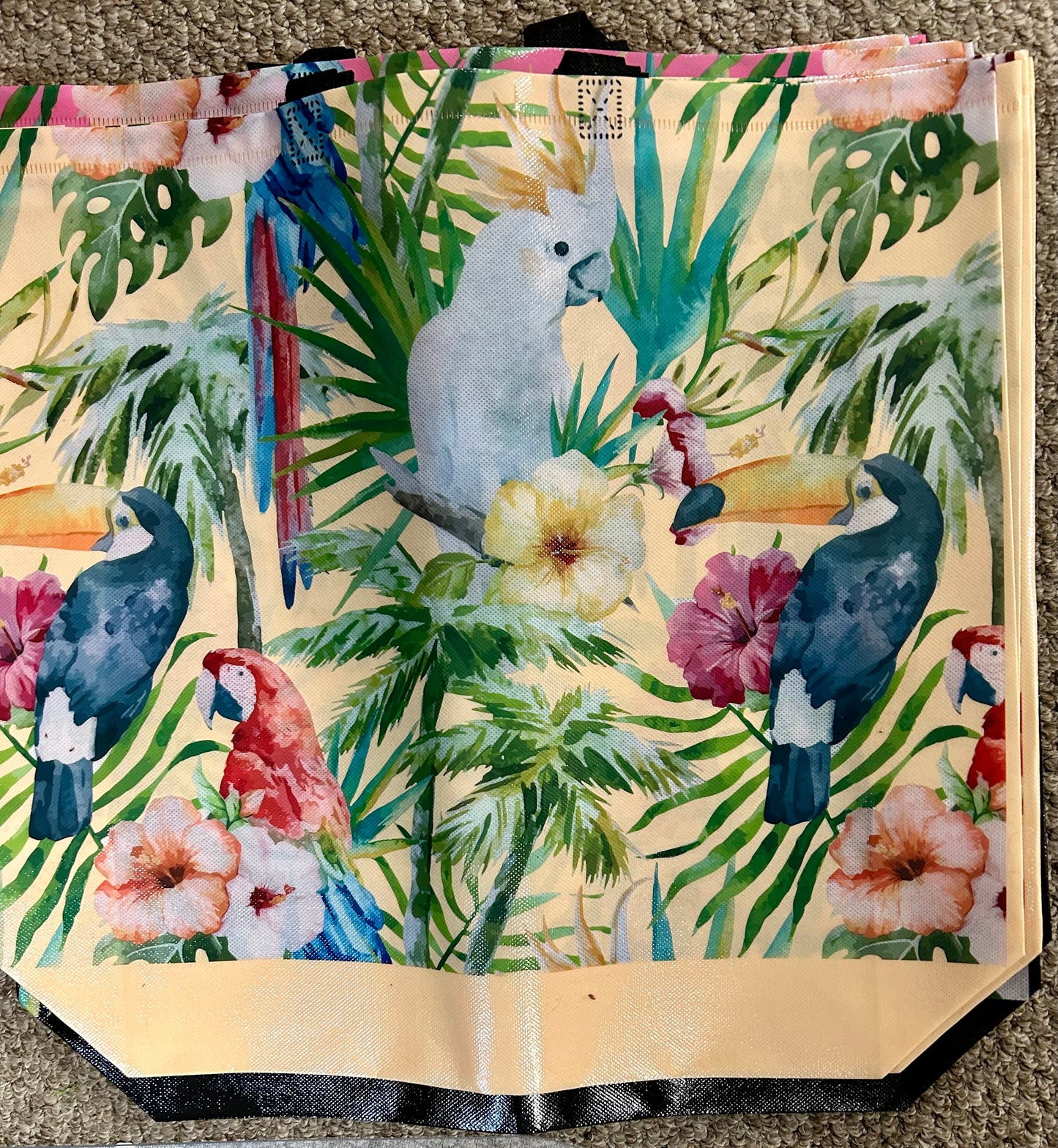 Large Reusable Bags