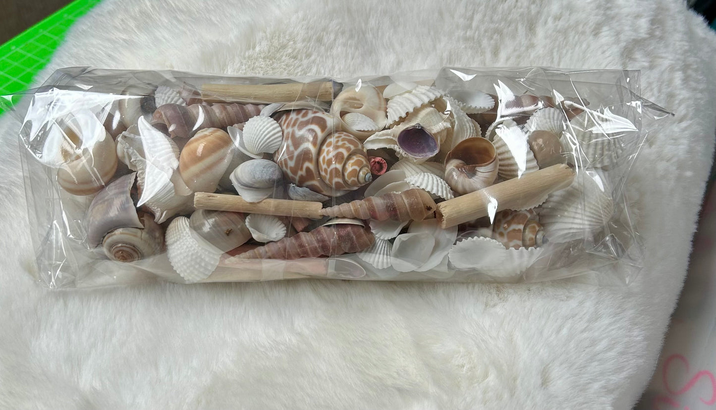 Seashells & Driftwood Mixture
