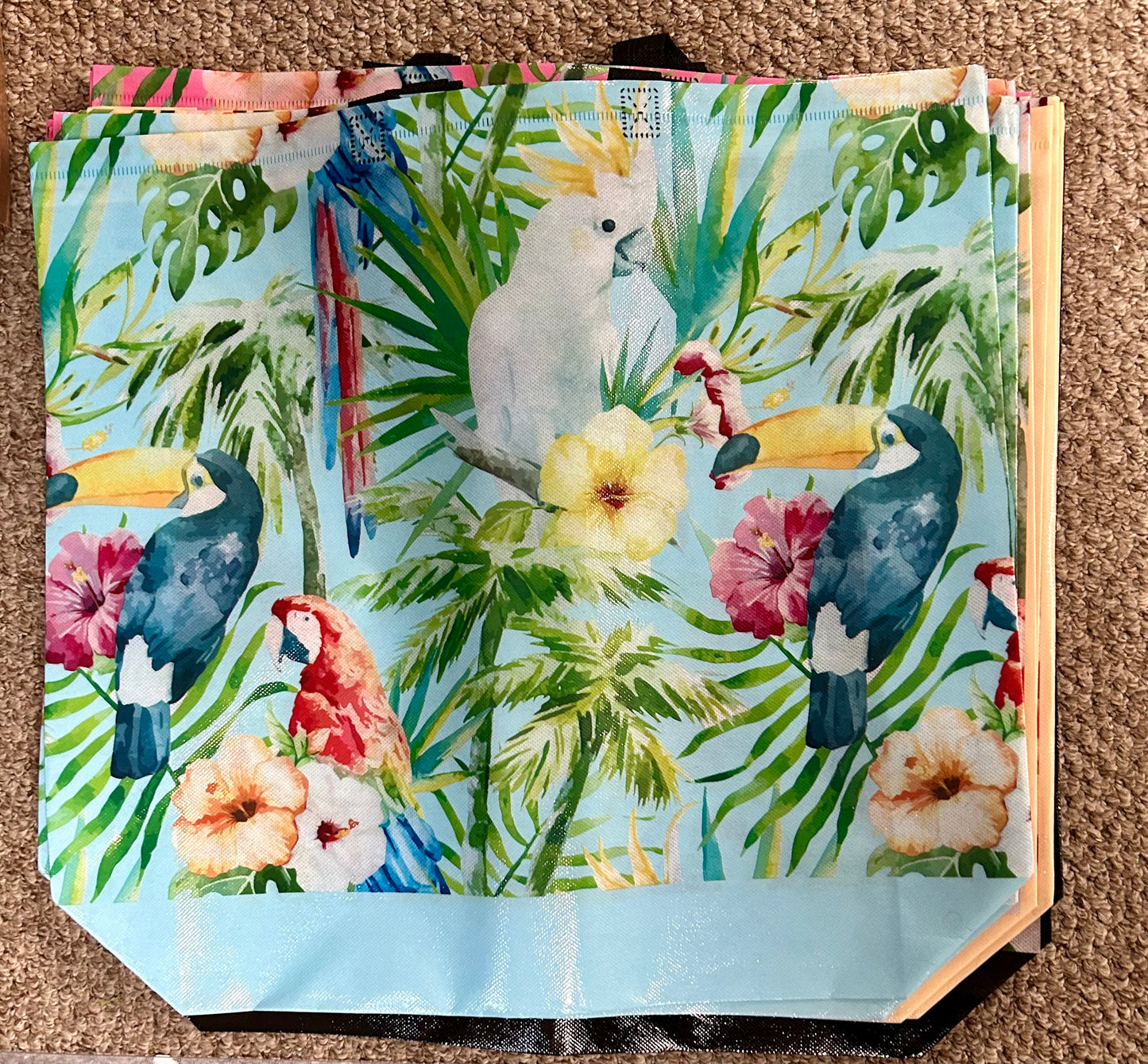 Large Reusable Bags