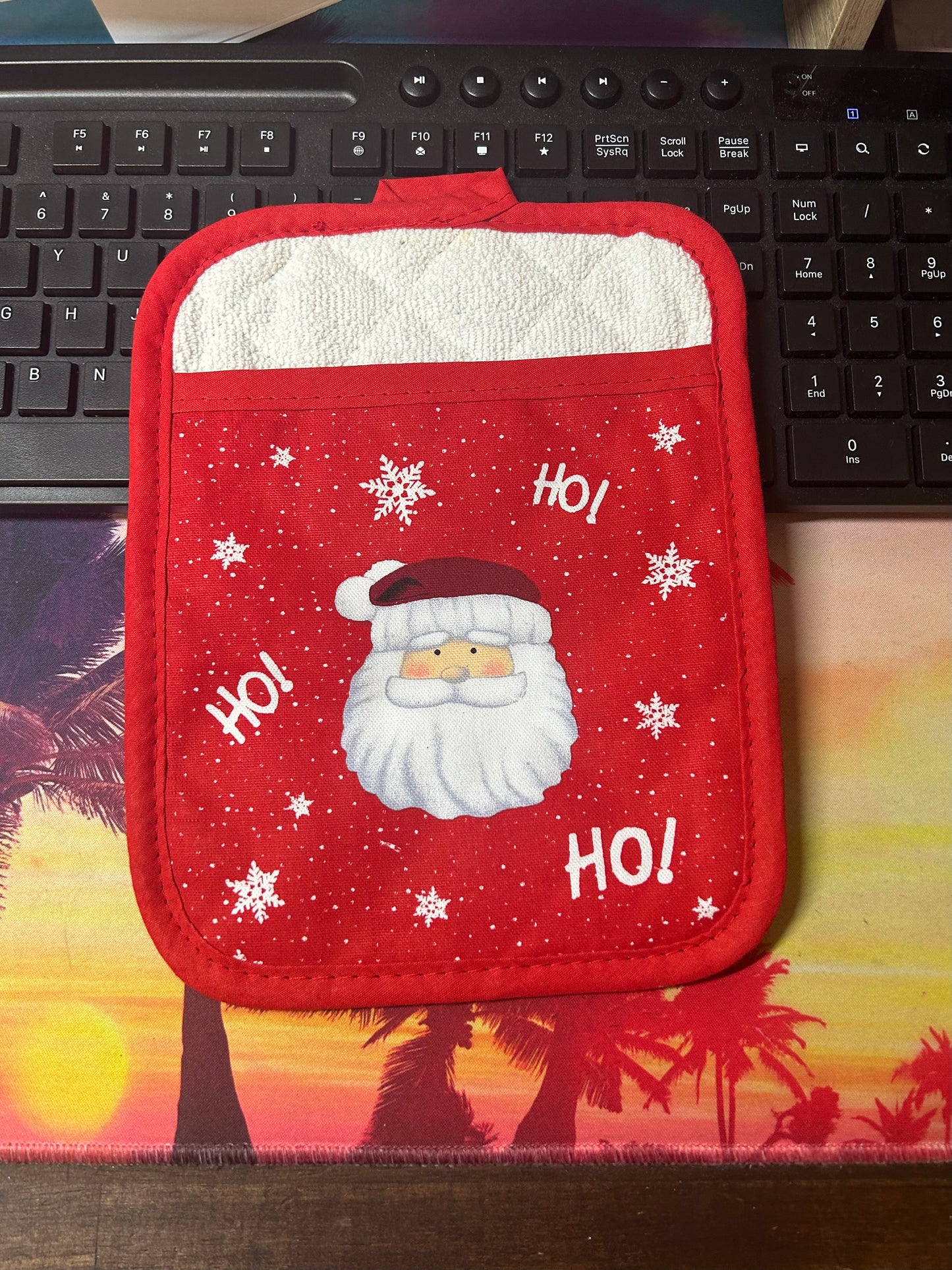 Santa Pot Holder