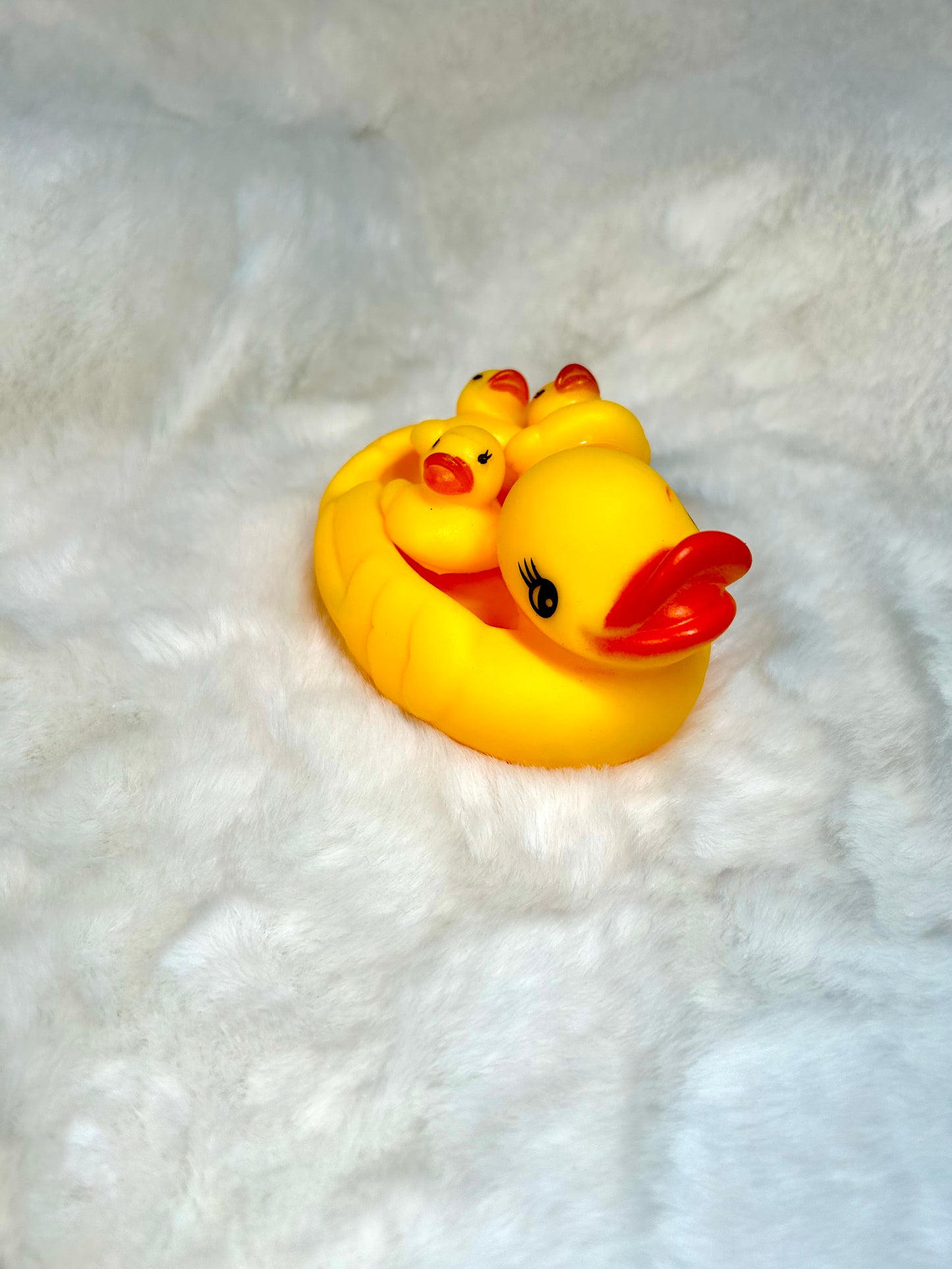 Rubber Ducky Set