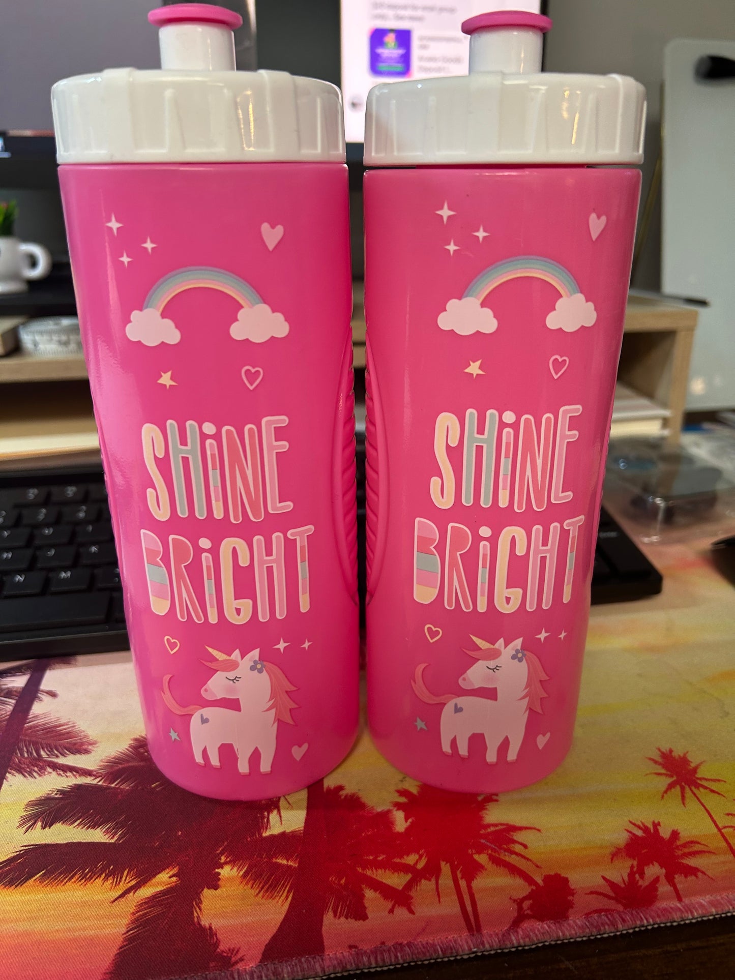 Water Bottle