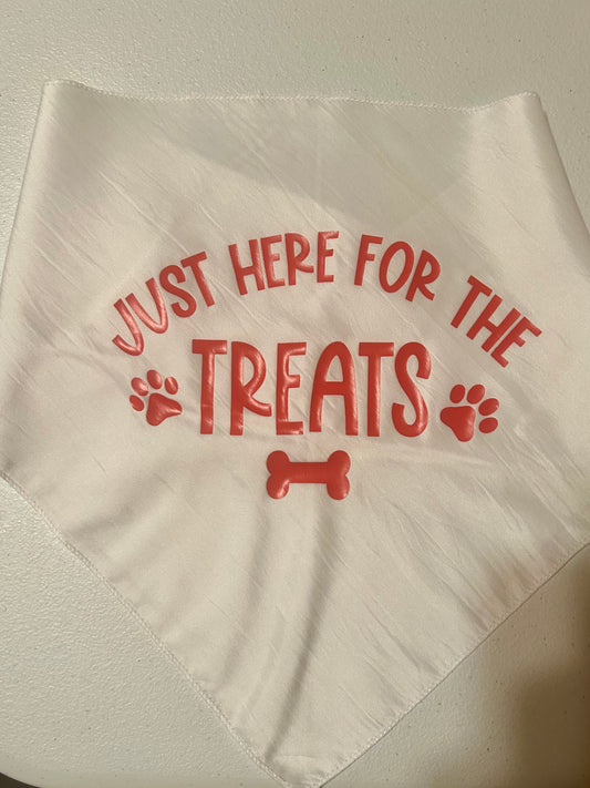 Pet Bandana