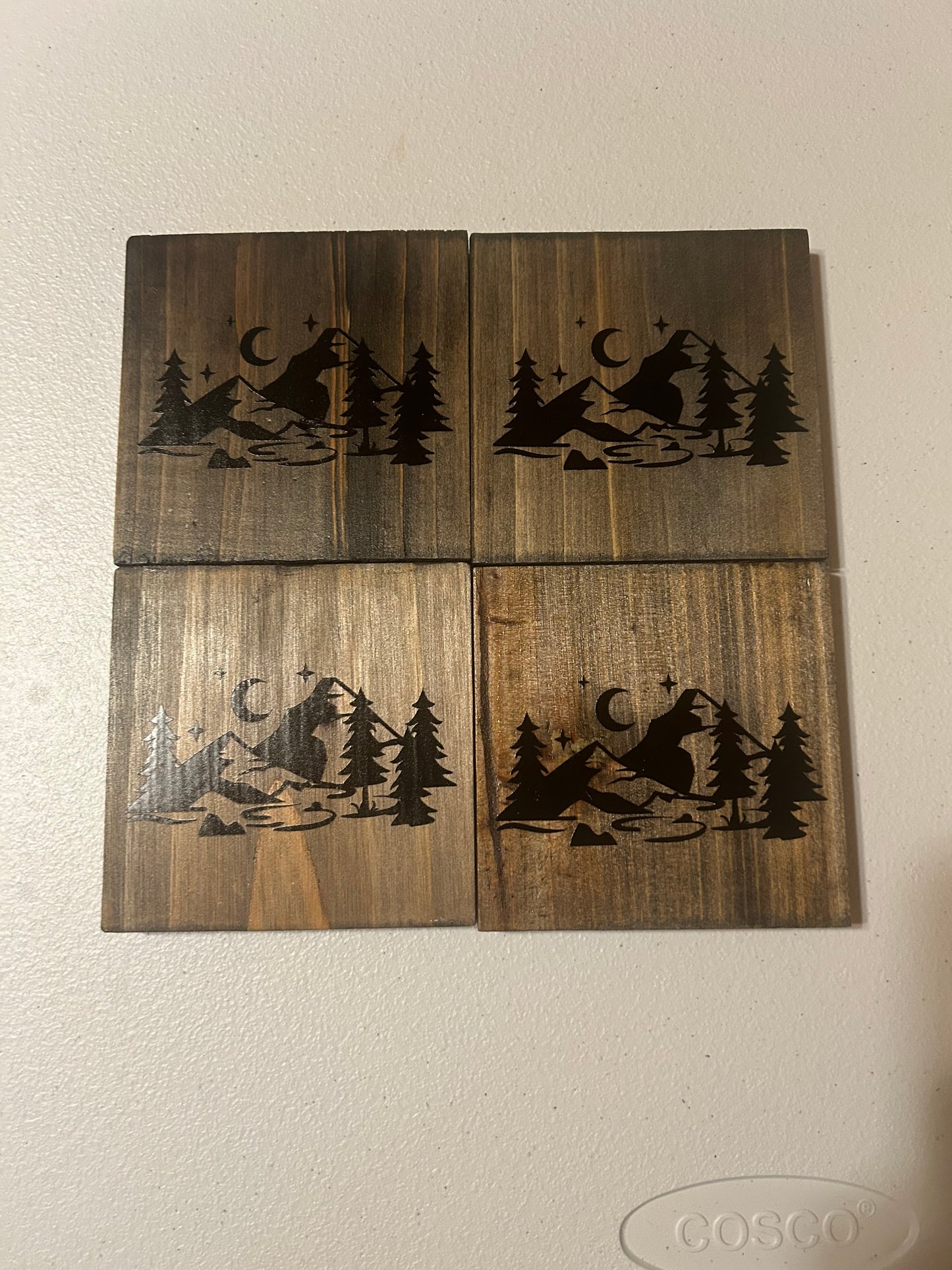 Wood Mountain Coaster