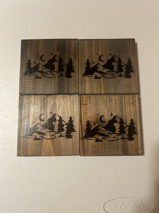 Wood Mountain Coaster